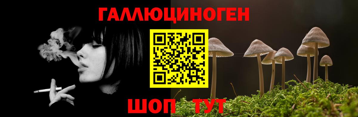 Галлюциногенные грибы Psilocybine cubensis  Вход с VPN  Назарово  Галлюциногенные грибы прущие грибы 